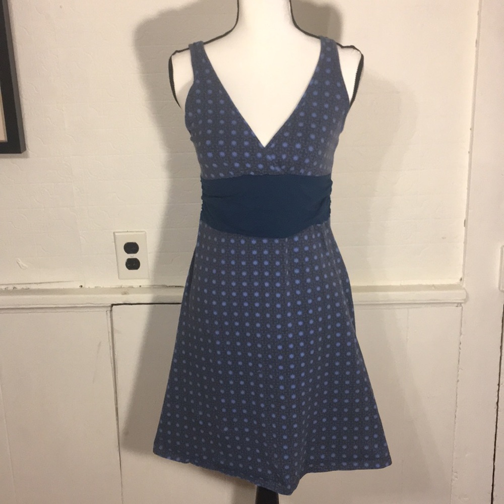 Patagonia Blue Print Dress